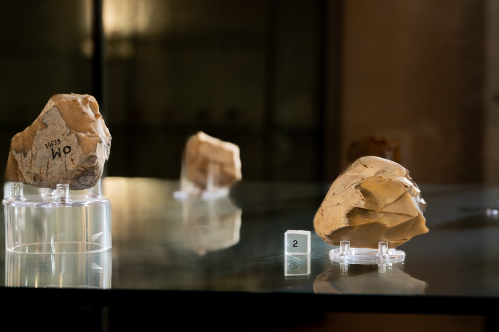Sala 5 – Moricone e i metodi della ricerca